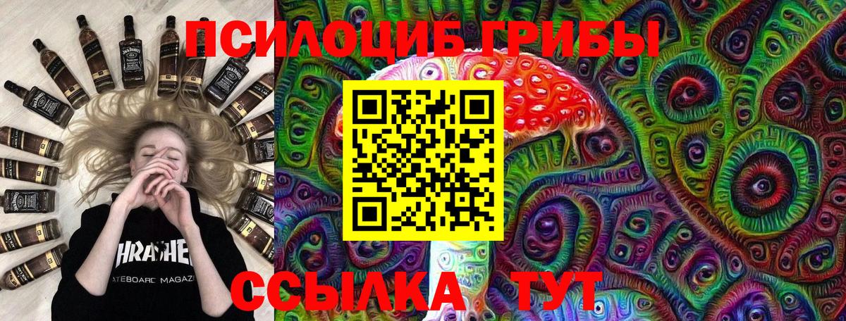 Псилоцибиновые грибы Psilocybe  Вход с VPN  Кострома 